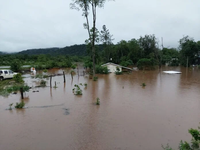 Imagen Noticia